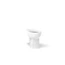 Elongated Toilet Bowl in White