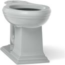 Elongated Toilet Bowl in Ice&trade; Grey