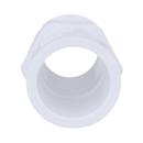White PVC Schedule 40 Male Adapter 