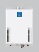 State Tankless Water Heater 