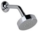 Multi Function Classic, Concentrated, Mist, Classic/Concentrated and Classic/Mist Showerhead in Polished Nickel