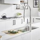 BLANCO Classic Steel Single Handle Pull Down Kitchen Faucet 
