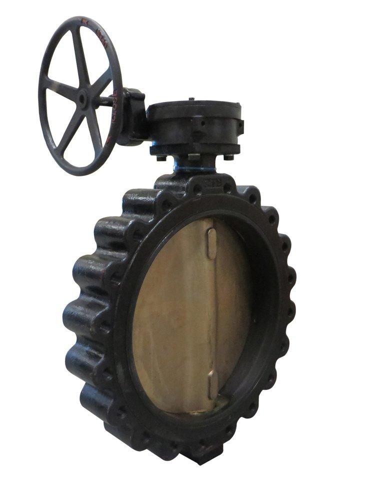 20 Ductile Iron 150# Stainless Steel EPDM Lug Butterfly Valve Gear Operator 