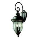 60W 3-Light Candelabra E-12 incandescent Outdoor Wall Sconce in Olde Bronze