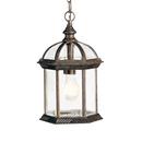 100W 1-Light Outdoor Pendant in Tannery Bronze