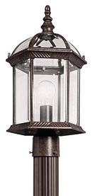 100W 1-Light Outdoor Post Lamp in Tannery Bronze