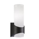 100W 1-Light Medium E-26 Incandescent Outdoor Wall Sconce in Painted Black