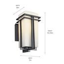 Kichler Lighting Black 100W 1-Light Medium Lantern 