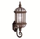 100W 1-Light Outdoor Wall Lantern in Tannery Bronze