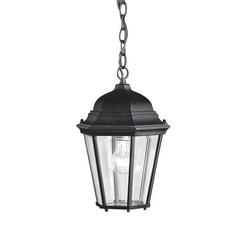 100W 1-Light Medium Base Incandescent Pendant in Black