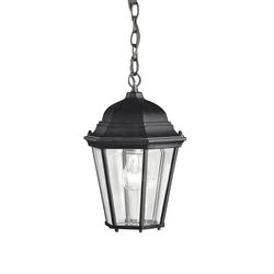 100W 1-Light Medium Base Incandescent Pendant in Black