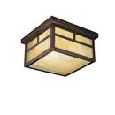 Kichler Lighting Canyon View 6-1/4 in. 75W 2-Light Medium E-26 Flush Mount Ceiling Light 