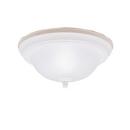 60W 2-Light Ceiling Light Fixture in Stucco White