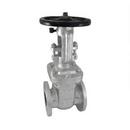 1/2 in. Stainless Steel Flanged Gate Valve