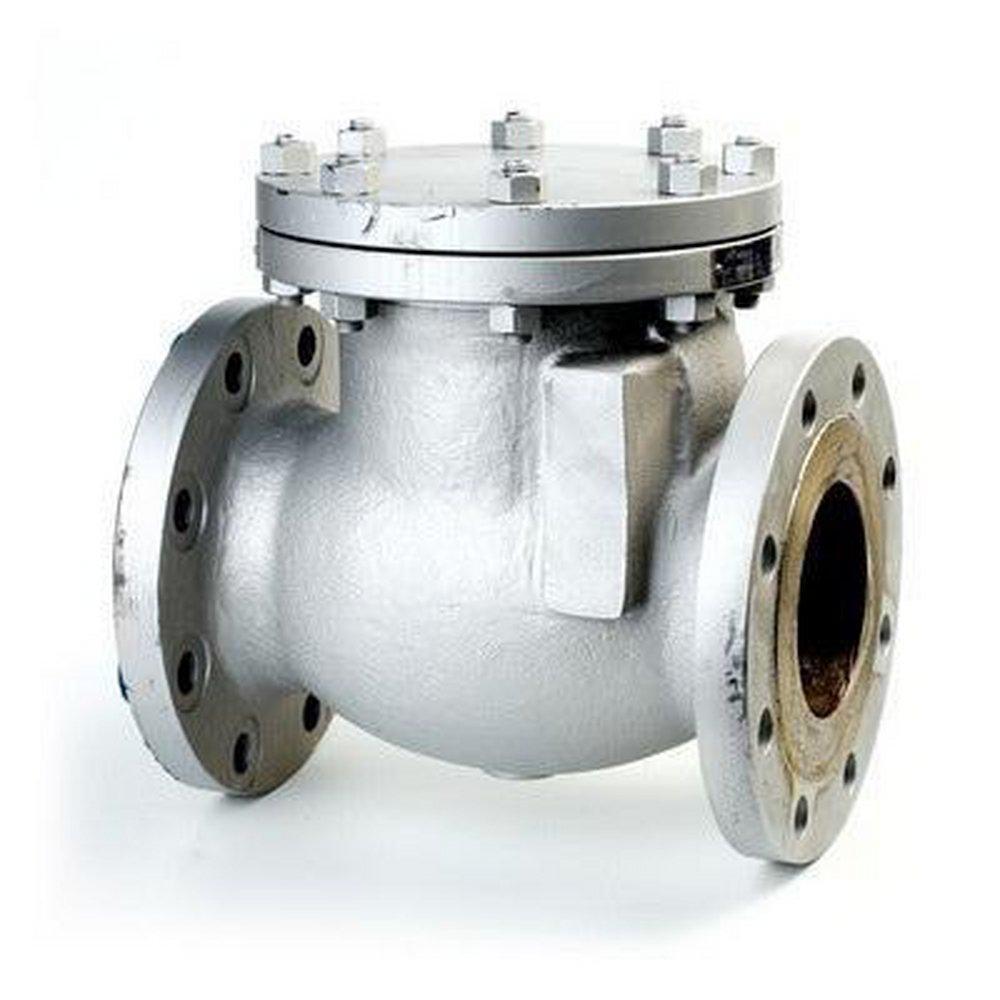 Neway Valve 300# RF FLG WCB T8 Swing Check Valve Carbon Steel Body, Trim 8, Bolted Cover 