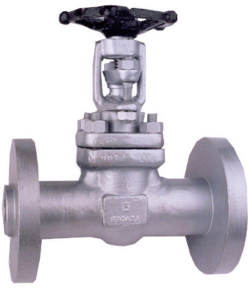Neway Valve Forged Steel Flanged Gate Valve 