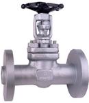 2 in. Forged Steel Flanged Gate Valve