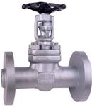 Neway Valve Forged Steel Flanged Gate Valve 