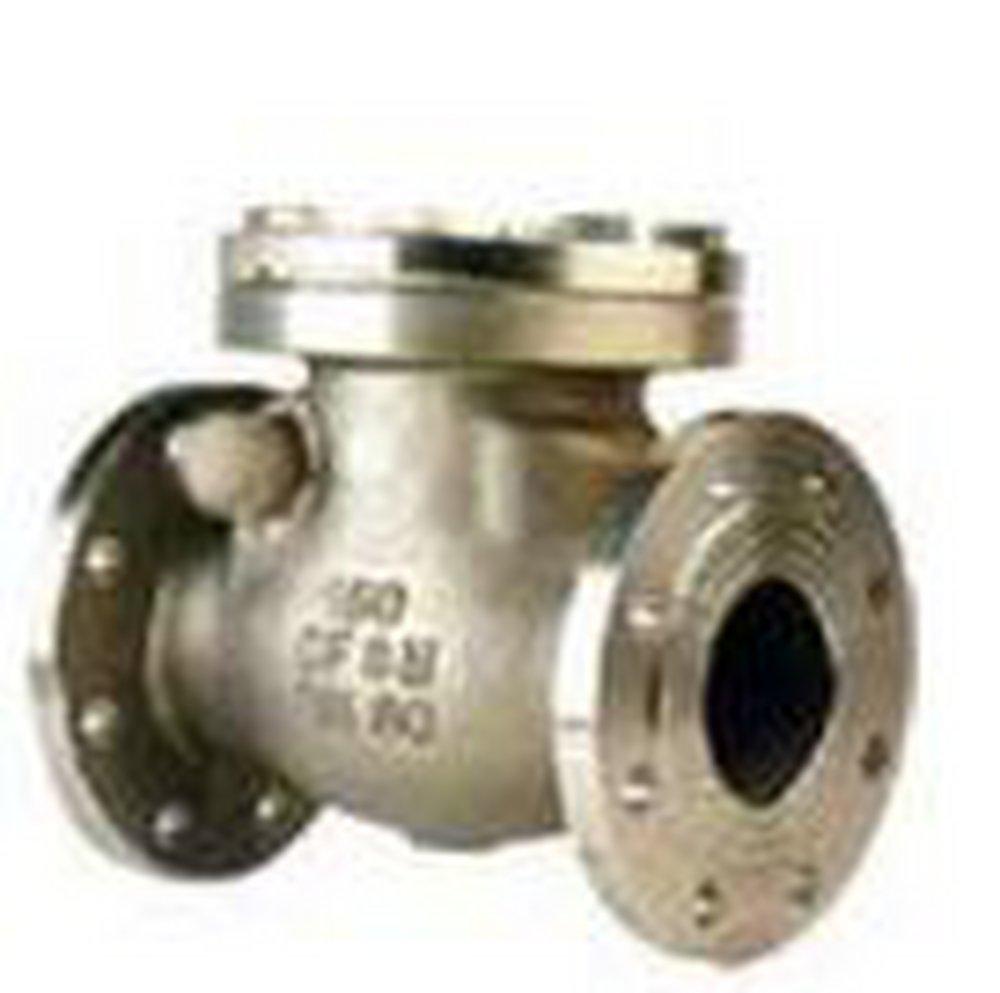 Neway Valve Carbon Steel Flanged Swing Check Valve 