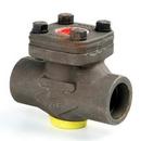 1 in. Forged Steel Socket Weld Piston Check Valve