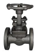 3/4 in. Forged Steel Flanged Gate Valve