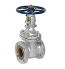 2 in. 300# RF FLG CF8M T10 Gate Valve PTFE Packing, API 603, Stainless Steel 316 Body, Trim 10, Bolted Bonnet