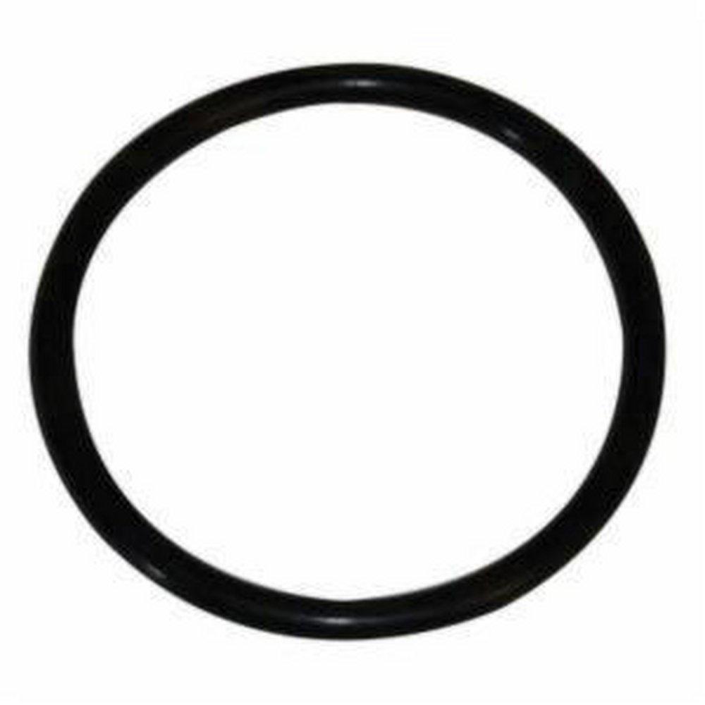 Franklin Electric O-ring 