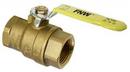FNW® Locking Handle Kit for 410/411A Ball Valve 