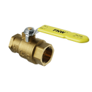 FNW&reg; Brass Threaded Ball Valve 