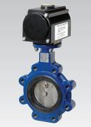 Emerson&reg; Cast Iron Lug EPDM Lever Handle Butterfly Valve 