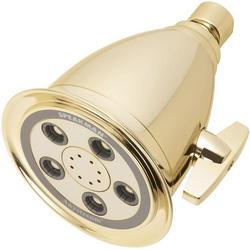Multi Function Showerhead in Polished Brass