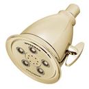 Multi Function Intense, Massage and Combination Showerhead in Polished Brass