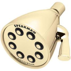 Multi Function Showerhead in Polished Brass