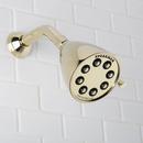 Speakman Polished Brass Multi Function Intense, Rain and Flood Showerhead 