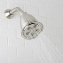 Speakman Brushed Nickel Multi Function Intense, Massage and Combination Showerhead 