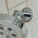 Speakman Polished Chrome 7 in. Shower Arm & Flange 