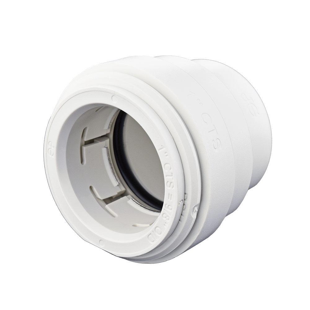 John Guest White CTS Polysulphone Bulk End Cap 