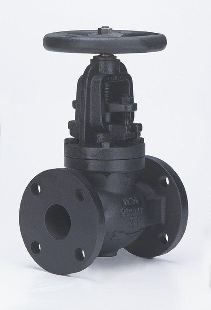Milwaukee Valve Cast Iron Flanged Globe Valve 