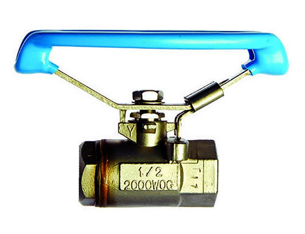 Milwaukee Valve Stainless Steel Reduced Port FNPT 2000# Ball Valve 