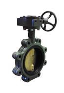 2 in. Cast Iron Flanged EPDM Gear Operator Butterfly Valve