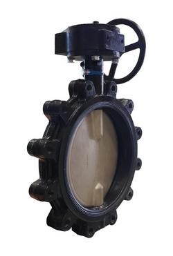 12 Cast Iron 200 # Ductile Iron EPDM Lug Butterfly Valve Gear Operator