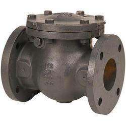 3 in. Cast Iron Flanged Check Valve