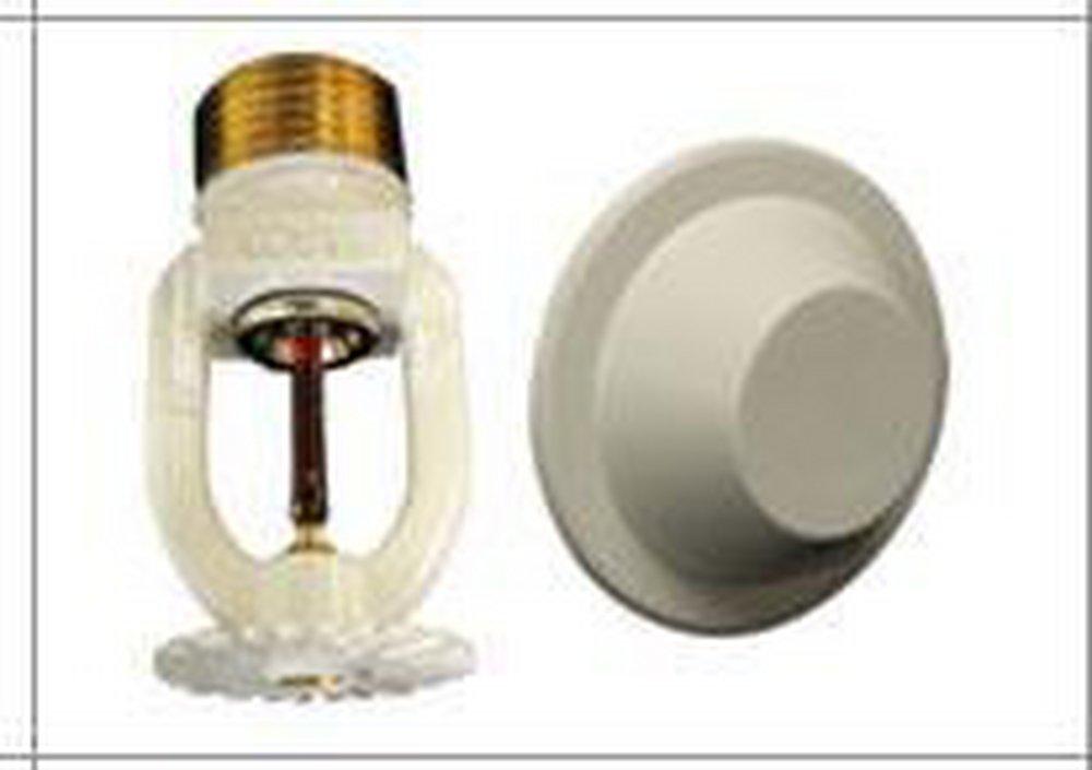 Reliable Automatic Sprinkler White 1/2 x 1/2 in. 175 Degree F Sprinkler Head 