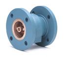 10 in. Cast Iron Flanged Silent Check Valve