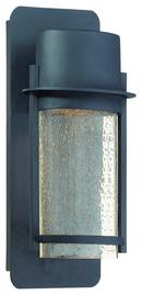 1-Light 35W Outdoor Wall Sconce in Black