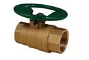 FNW&reg; Brass Full Port NPT 600# Oval Handle Ball Valve 