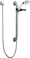 Dual Function Hand Shower in Stainless/White 