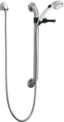 Dual Function Hand Shower in Stainless with White