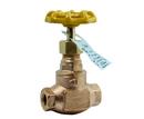 Apollo Valves Bronze NPT Globe Valve 