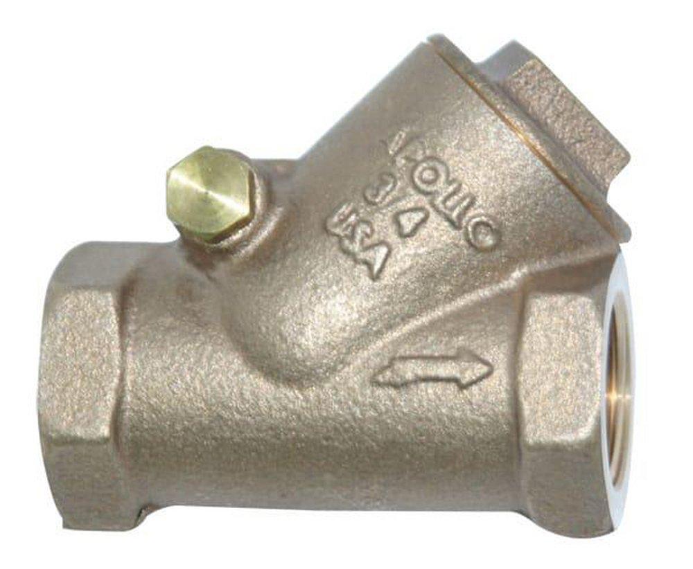 1 in. Bronze FNPT Swing Check Valve 